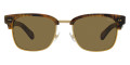 Shiny Beige Tortoise / Green
