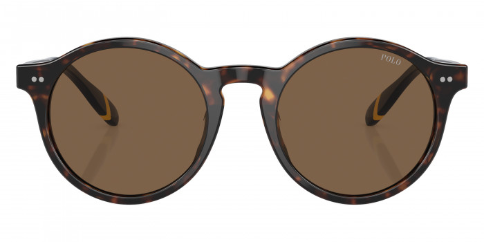 POLO RALPH LAUREN™ PH4204U 500373 50 - Shiny Dark Havana/Blue