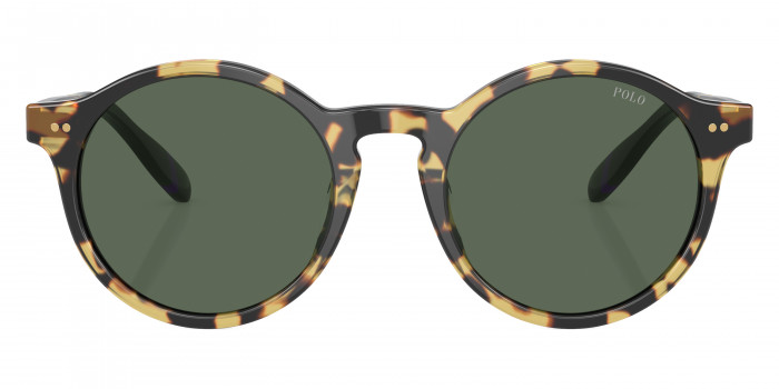 POLO RALPH LAUREN™ PH4204U 500471 53 - Shiny Tortoise Brown Dark Green