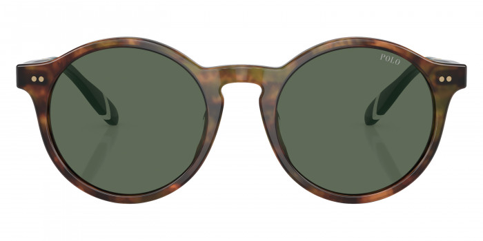 POLO RALPH LAUREN™ PH4204U 501771 50 - Shiny Brown Tortoise/Green