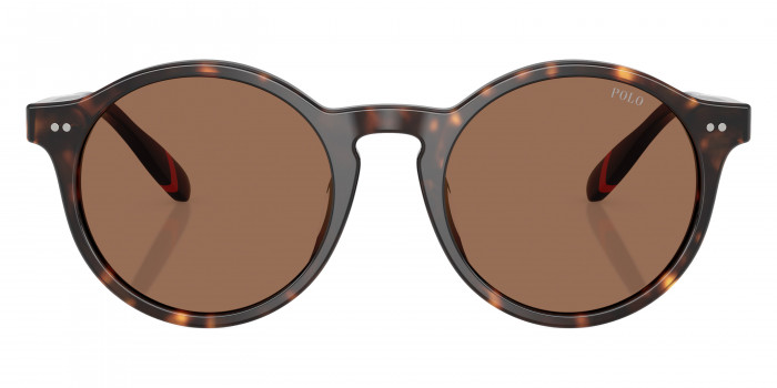 POLO RALPH LAUREN™ PH4204U 567373 53 - Shiny Dark Havana/Blue