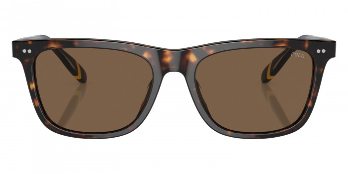 POLO RALPH LAUREN™ PH4205U 500373 56 - Shiny Dark Havana/Blue