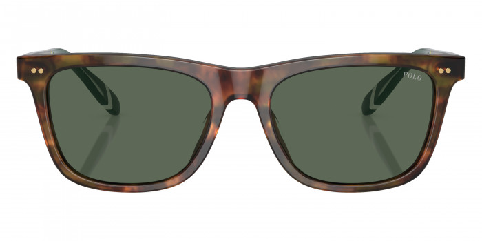 POLO RALPH LAUREN™ PH4205U 501771 56 - Shiny Brown Tortoise/Green