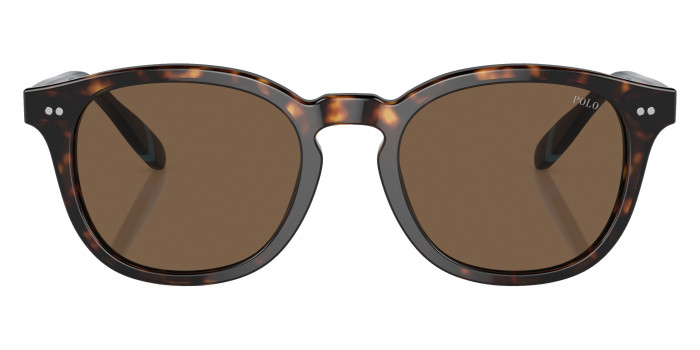 POLO RALPH LAUREN™ PH4206 500373 52 - Shiny Dark Havana/Blue