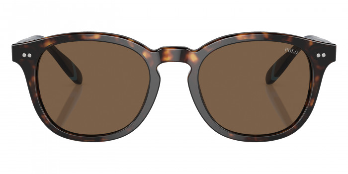 POLO RALPH LAUREN™ PH4206F 500373 52 - Shiny Dark Havana/Blue