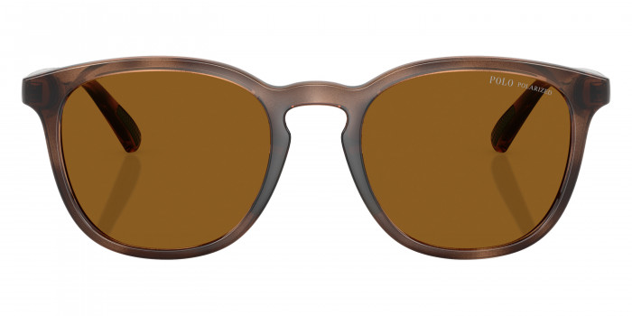 POLO RALPH LAUREN™ PH4222U 500383 52 - Shiny Dark Havana