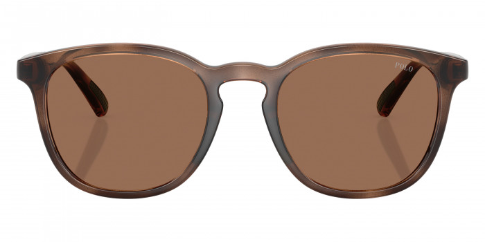 POLO RALPH LAUREN™ PH4222U 597473 52 - Shiny Dark Havana