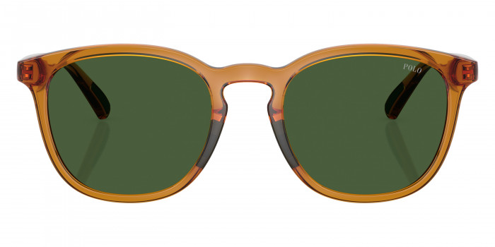 POLO RALPH LAUREN™ PH4222U 620971 52 - Shiny Transparent Honey Brown