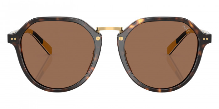 POLO RALPH LAUREN™ PH4223U 500373 53 - Shiny Dark Havana/Stripes