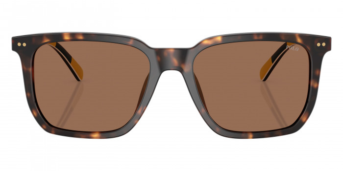 POLO RALPH LAUREN™ PH4224F 500373 55 - Shiny Dark Havana/Stripes