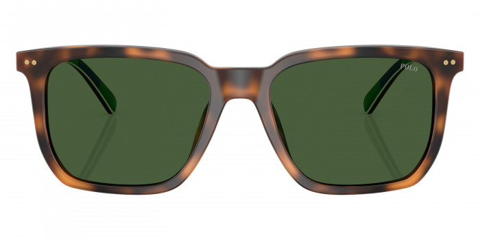 POLO RALPH LAUREN™ PH4224F 608971 55 - Shiny Red Havana/Stripes