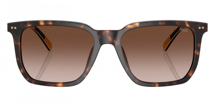 POLO RALPH LAUREN™ PH4224U 500313 55 - Shiny Dark Havana