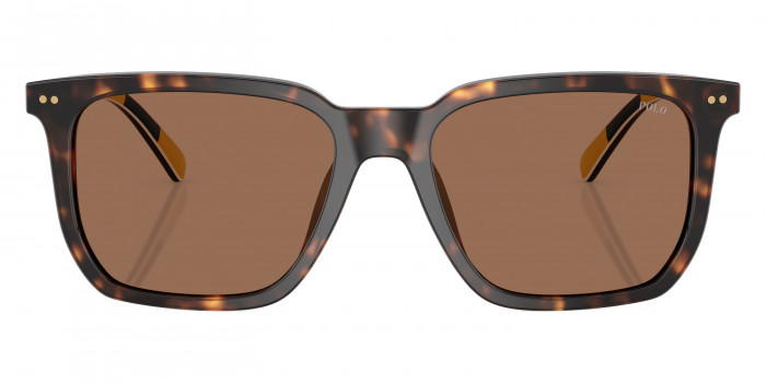 POLO RALPH LAUREN™ PH4224U 500373 55 - Shiny Dark Havana/Havana/Stripes