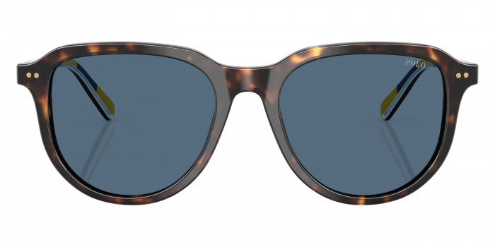 POLO RALPH LAUREN™ PH4225 500380 53 - Shiny Dark Havana/Stripes