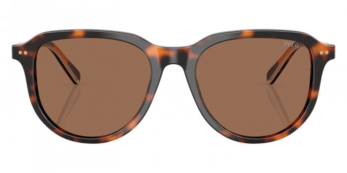 POLO RALPH LAUREN™ PH4225 613773 53 - Shiny Dark Havana/Havana/Stripes