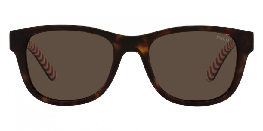 Color: Shiny Dark Havana (593673) - Polo PP950159367347