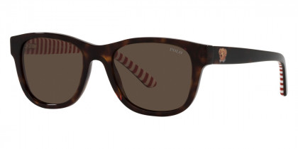 Color: Shiny Dark Havana (593673) - Polo PP950159367347