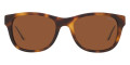 Havana / Light Brown