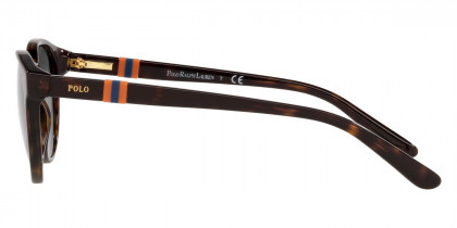 Color: Shiny Dark Havana (500371) - Polo PP950250037148