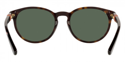 Color: Shiny Dark Havana (500371) - Polo PP950250037148