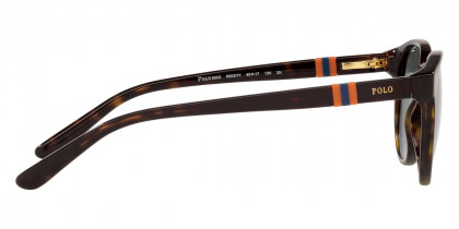 Color: Shiny Dark Havana (500371) - Polo PP950250037148