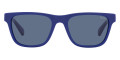 Shiny Royal Blue / Dark Blue