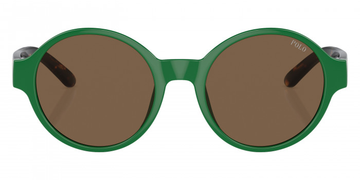 POLO RALPH LAUREN™ PP9508U 619273 44 - Shiny Green/Shiny Dark Havana