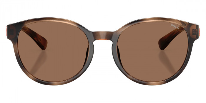 POLO RALPH LAUREN™ PP9509U 597473 48 - Shiny Dark Havana