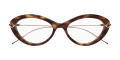 Havana/Gold / Transparent AR