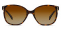 Havana / Polarized Brown Gradient