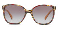 Havana / Ears Avio Blue / Brown Gradient TH63E2