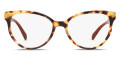 Medium Havana