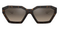 Havana / Brown Gradient Gray Mirrored Silver
