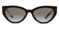Black / Gray Gradient 1AB0A7