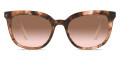 Havana / Brown Gradient