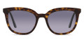 Havana / Light Violet Gradient Blue