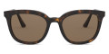 Havana / Brown