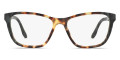 Medium Havana / Spotted Green