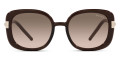 Light Brown / Brown Gradient Gray