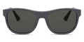 Gray / Polarized Gray
