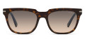Tortoise / Clear Gradient Gray