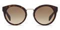 Havana / Brown Gradient