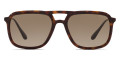Havana / Brown Gradient