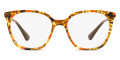 Striped Brown / Orange