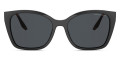 Black / Polarized Dark Gray