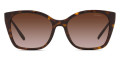 Havana / Brown Gradient 2AU6S1