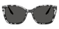 Gray Tortoise / Dark Gray