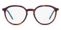 Denim Tortoise