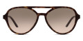 Havana / Light Brown Grad Light Gray