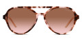 Havana / Brown Gradient